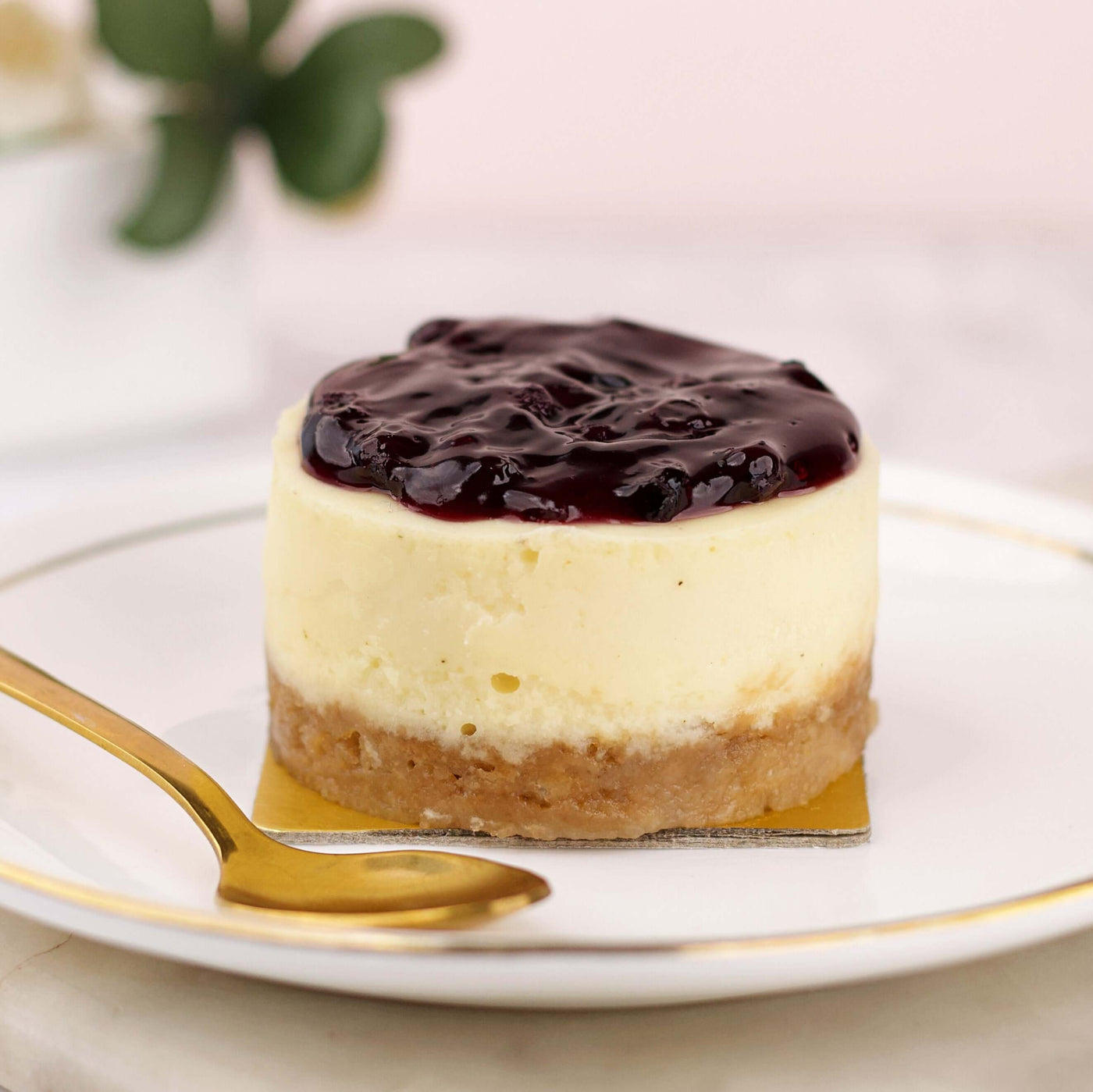 Mini Cheesecake - Blueberry