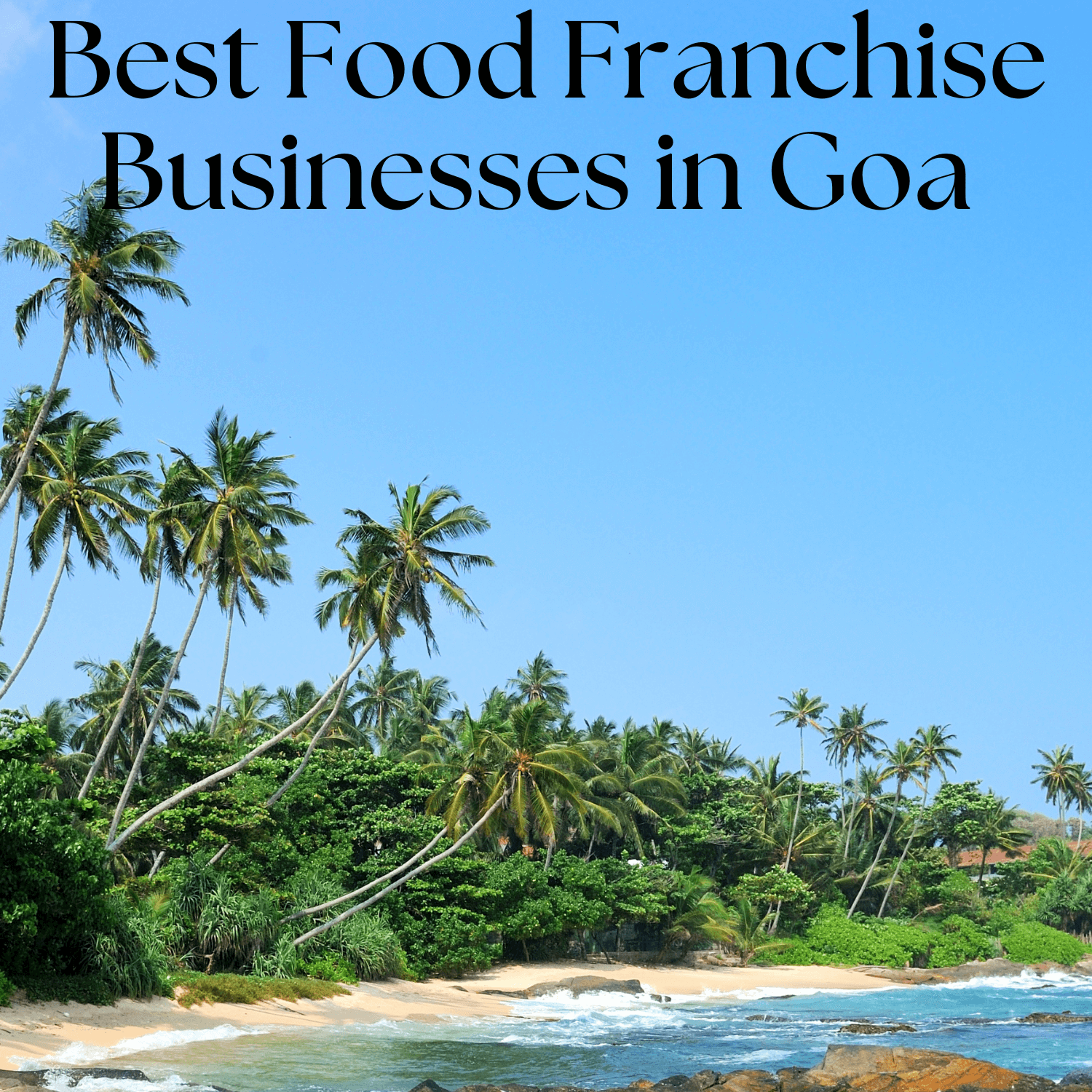 Best Food Franchise Business in Goa 2025 Frozen Bottle