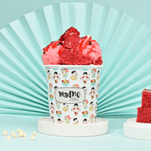 ice cream franchise