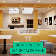 Frozen Bottle: The Best Cafe in Koregaon Park