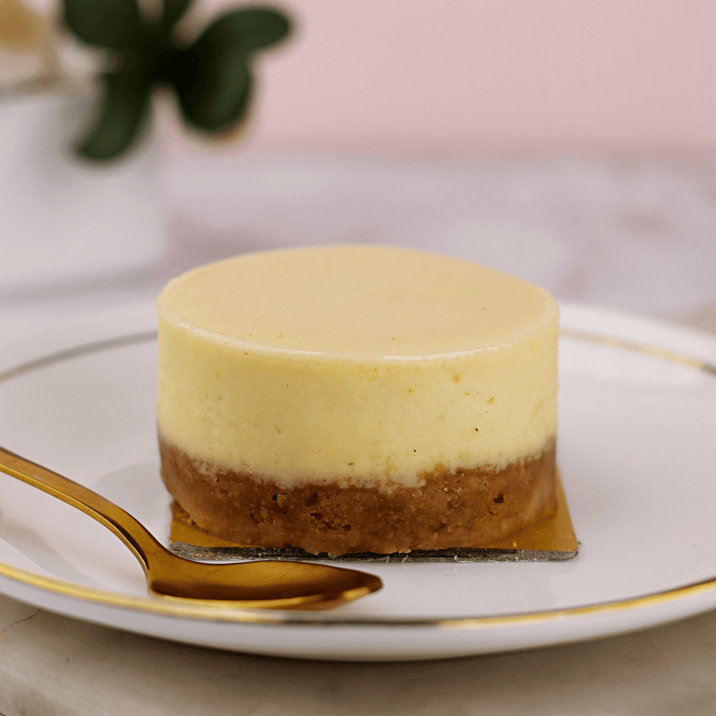 Mini Cheesecake - Classic